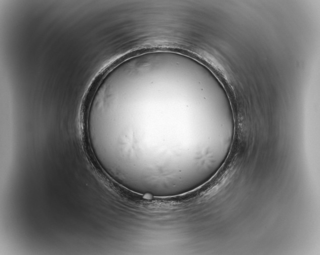 X0000093510981200711021025