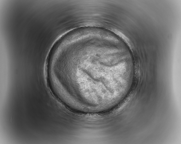 X0000093510983200711021025