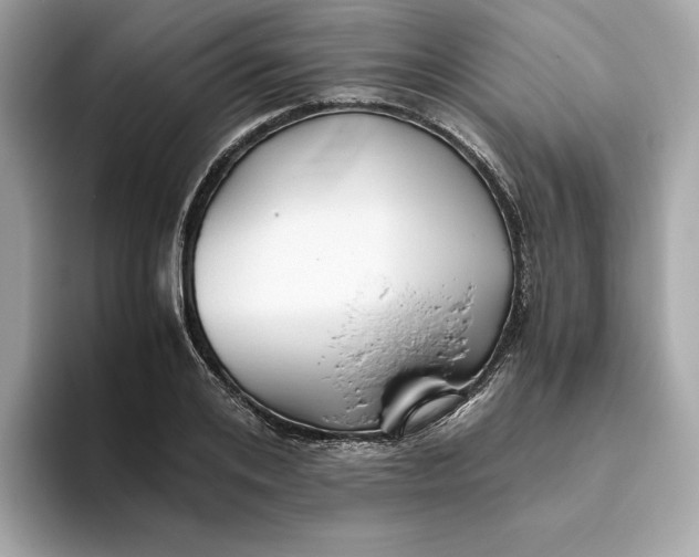 X0000093510984200711021025