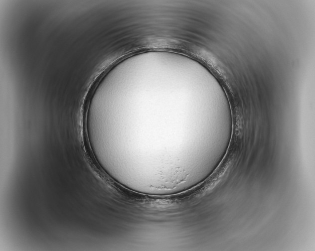 X0000093510986200711021025