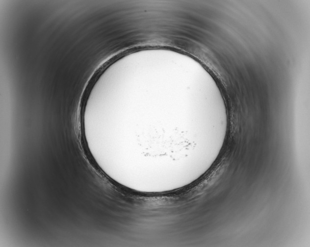 X0000093510988200711021025