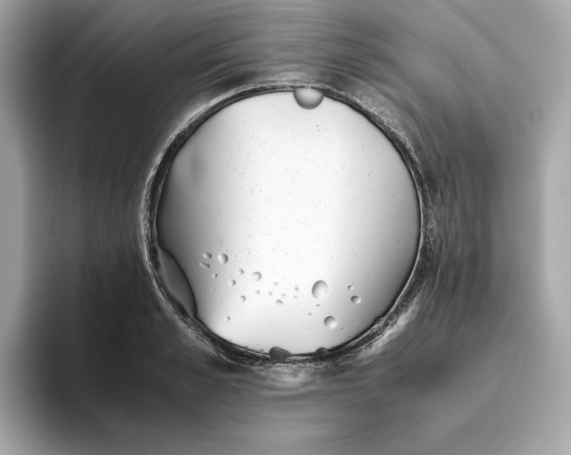 X0000093510989200711021025