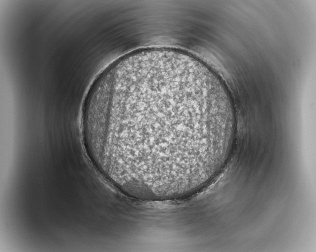 X0000093510990200711021025