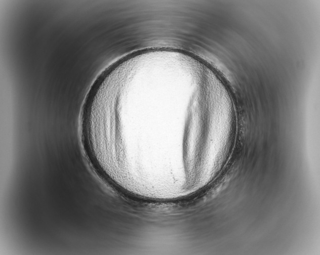 X0000093510991200711021025