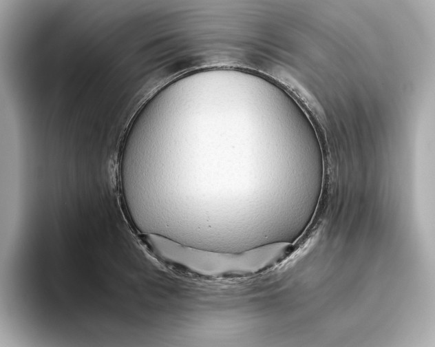 X0000093510993200711021024