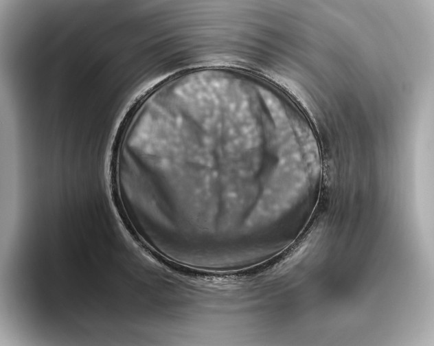 X0000093510995200711021024