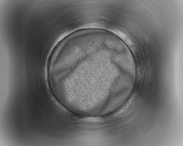 X0000093510998200711021024