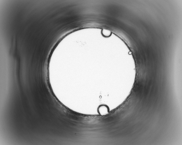 X0000093511000200711021024