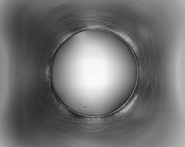 X0000093511001200711021024