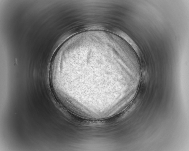 X0000093511002200711021024