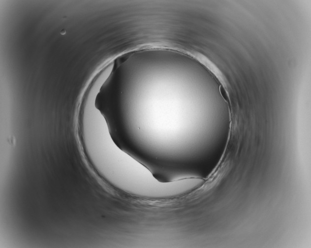 X0000093511005200711021024