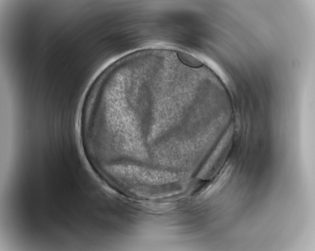 X0000093511007200711021024