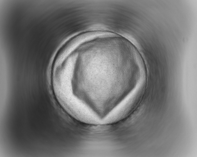 X0000093511008200711021024