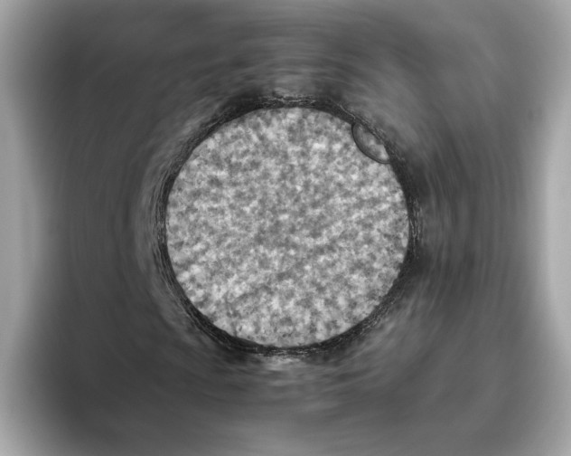 X0000093511009200711021024