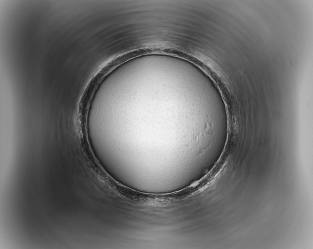 X0000093511022200711021024