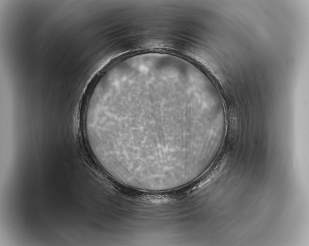 X0000093511023200711021024