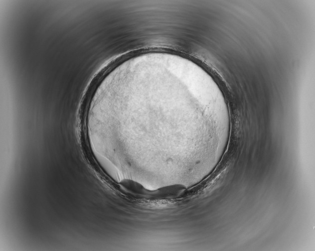 X0000093511024200711021024