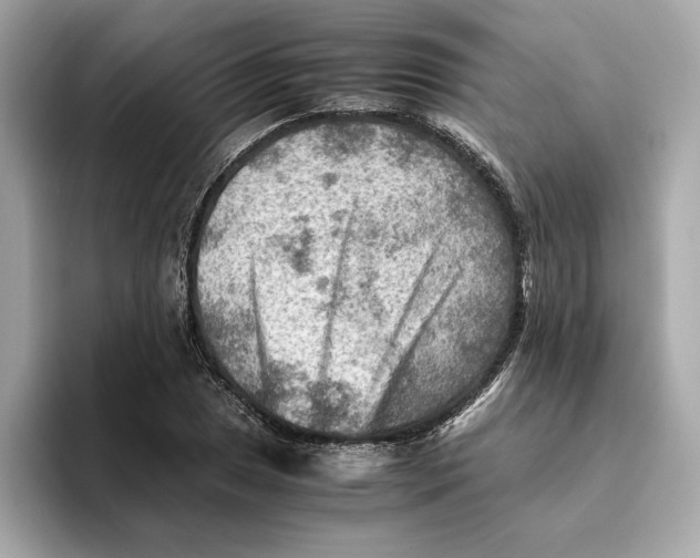 X0000093511025200711021024