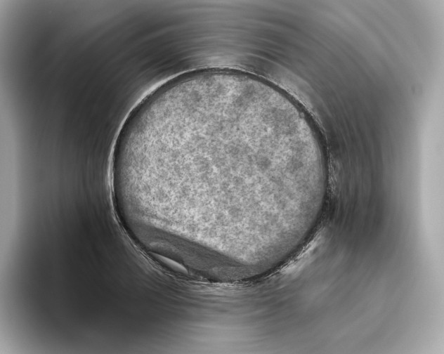 X0000093511028200711021024