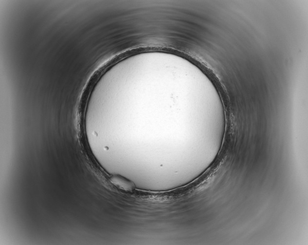 X0000093511029200711021024