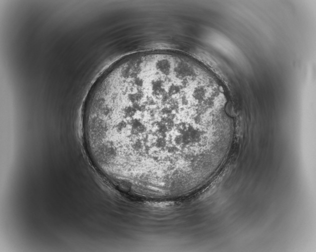 X0000093511031200711021024