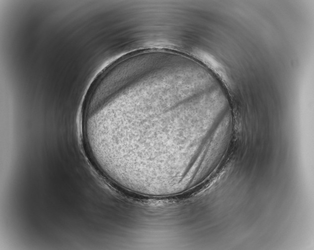 X0000093511032200711021024