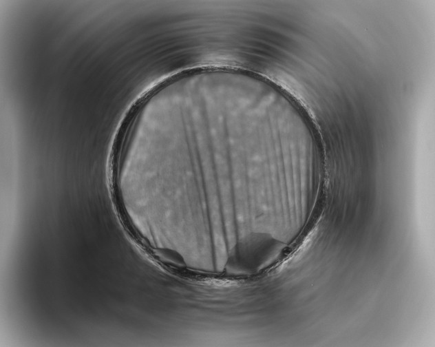 X0000093511037200711021024