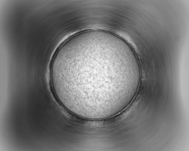 X0000093511040200711021024