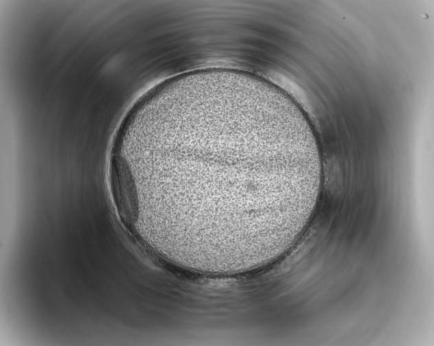 X0000093511043200711021024