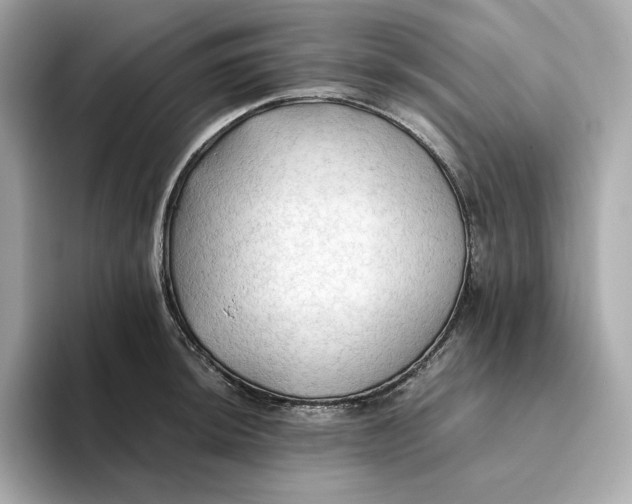 X0000093511044200711021024