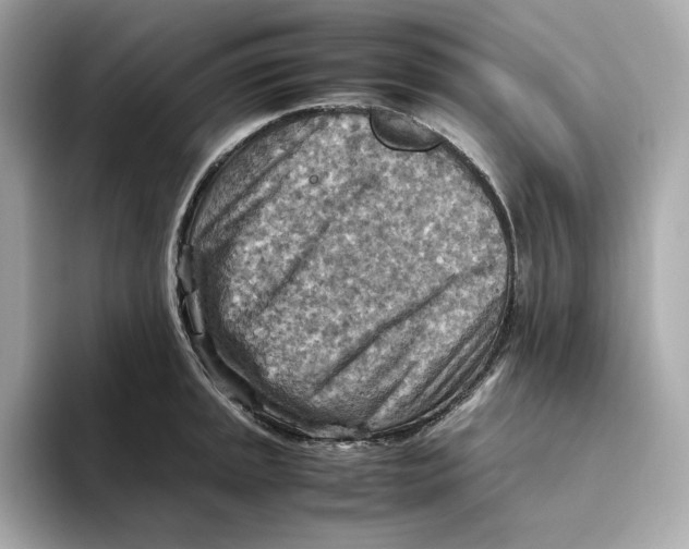 X0000093511045200711021024