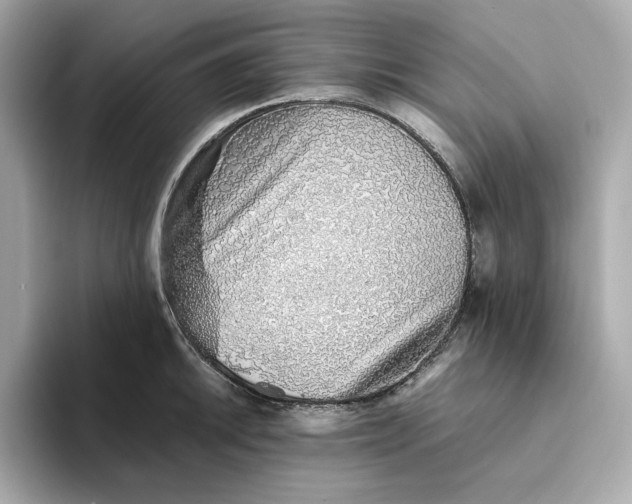 X0000093511046200711021024