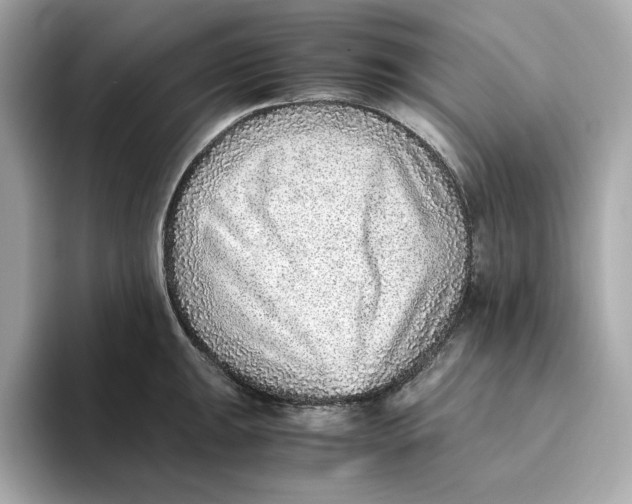 X0000093511047200711021024