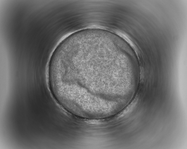 X0000093511048200711021024