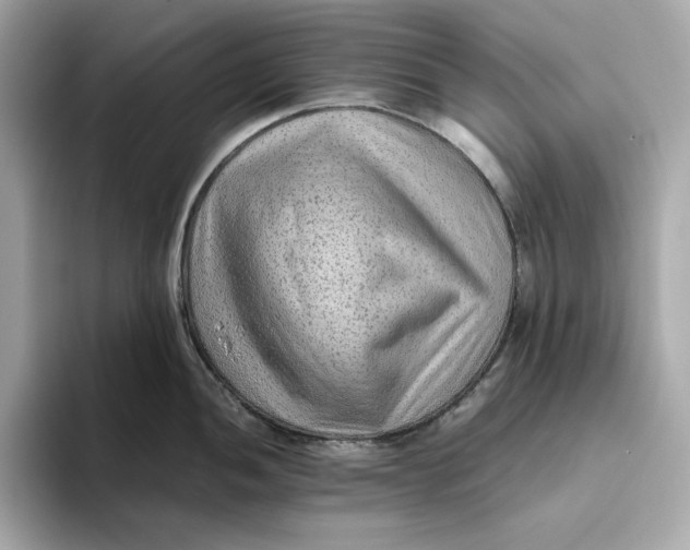 X0000093511052200711021024