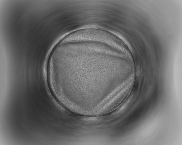 X0000093511054200711021024