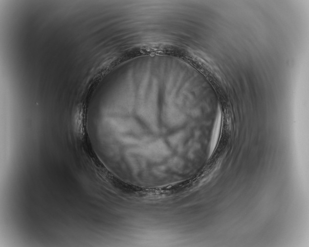 X0000093511060200711021024