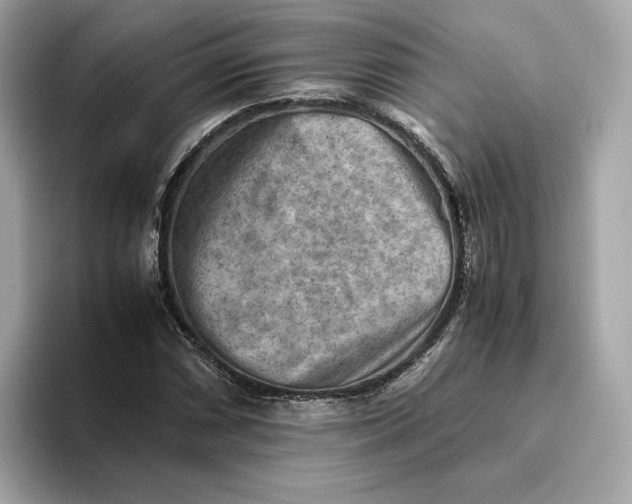 X0000093511066200711021024