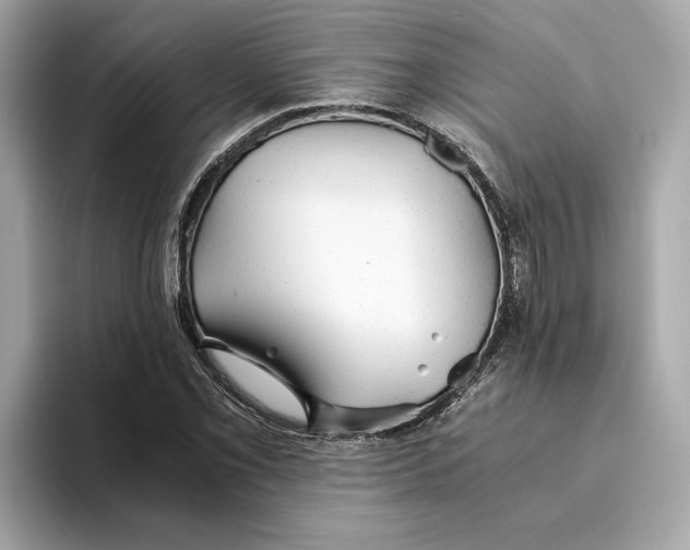 X0000093511069200711021024