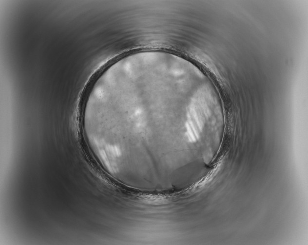 X0000093511071200711021024