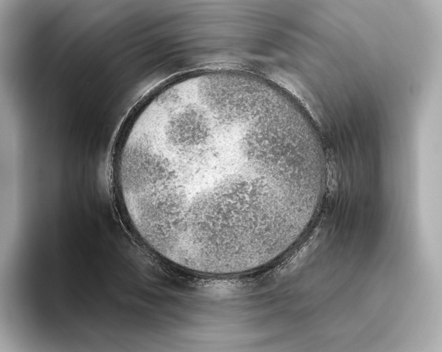 X0000093511074200711021024