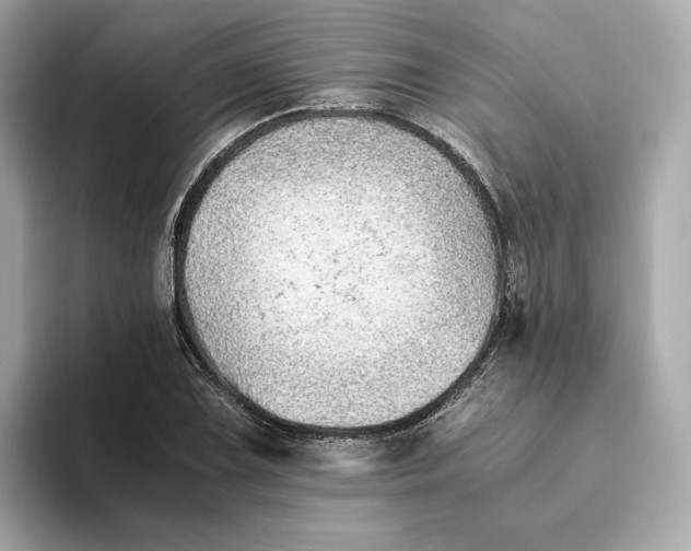 X0000093511075200711021024