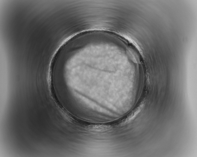 X0000093511077200711021023