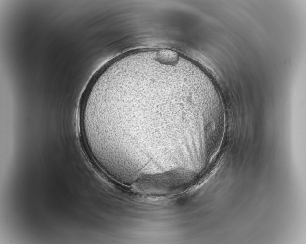 X0000093511079200711021023