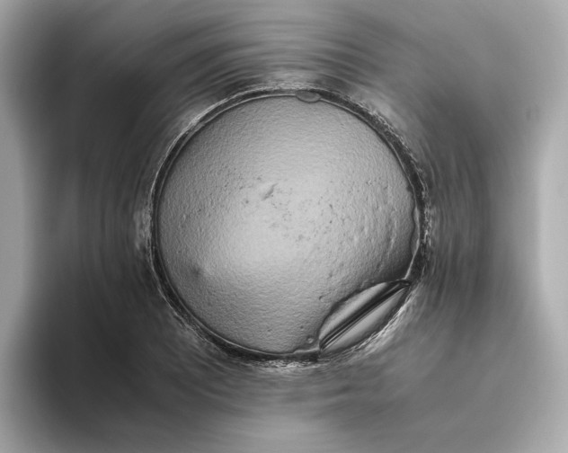 X0000093511081200711021023