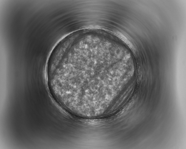 X0000093511084200711021023