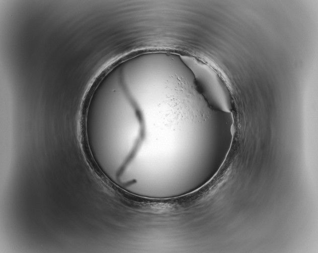 X0000093511085200711021023