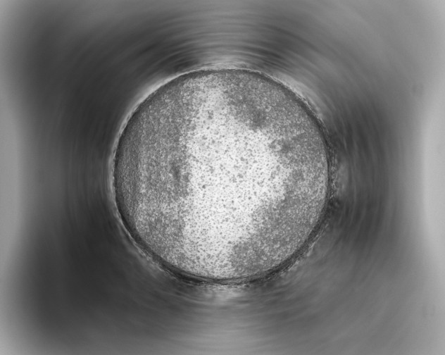 X0000093511086200711021023