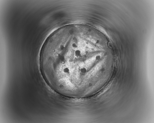 X0000093511087200711021023