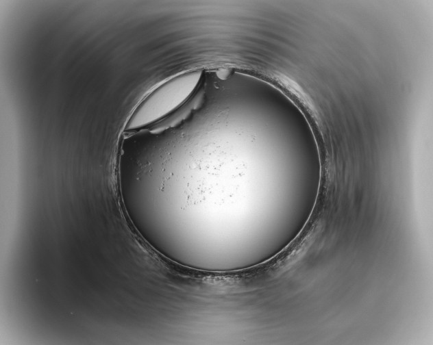 X0000093511089200711021023